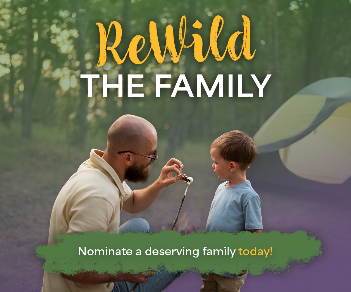 KCETrust's tweet image. Give a family the gift of camping!

Do you know a family that’s never camped due to financial or social barriers? Nominate them for KCET’s ReWild the Family program!

✅ Free camping gear
✅ A mentor to guide them
✅ A weekend at Dalewood CA

Apply now:
kettlecreektrust.com/rewild-the-fam…