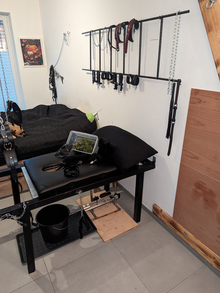 Neue Spielsachen.... rrrrrr