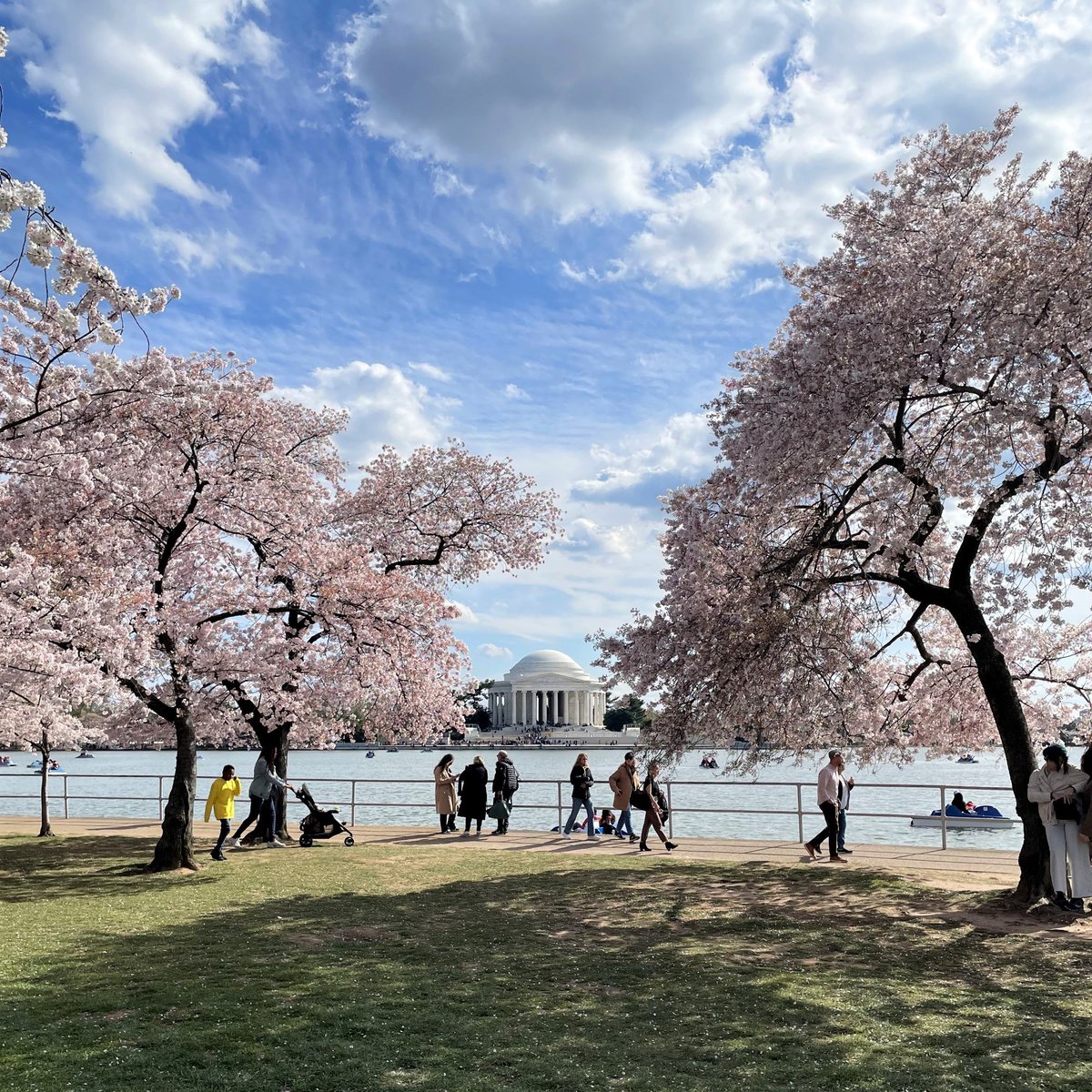 National Mall NPS tweet media