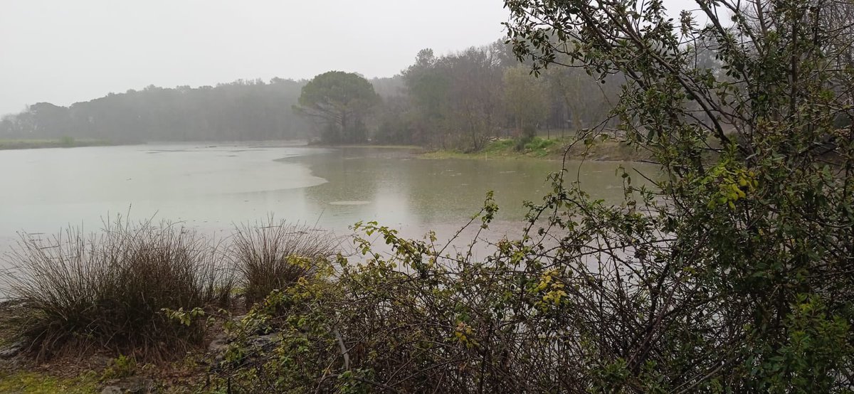 Benet FCB ll*ll tweet media