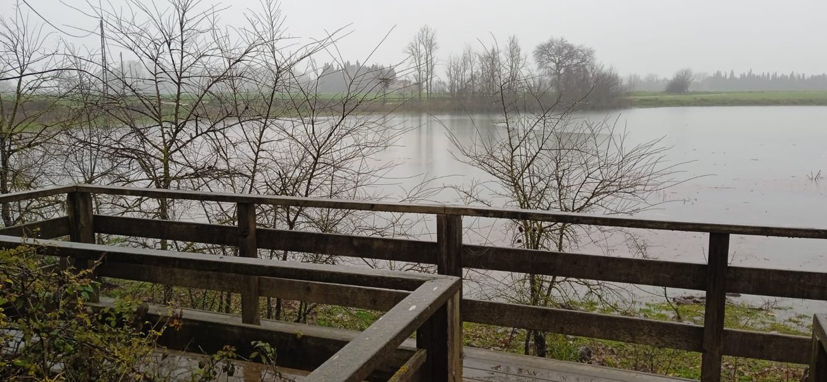 Benet FCB ll*ll tweet media