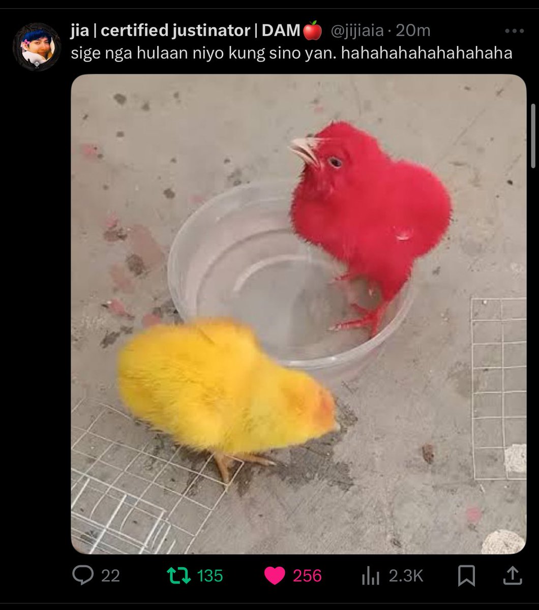 rockstarfjs's tweet photo. tawang tawa ako sa tl ko BAKIT KAYO GANYAN HAHAHAHAHAHAHAHAAHAHAHAHAHHAHAHAHAHA https://t.co/HKnCCucaUp