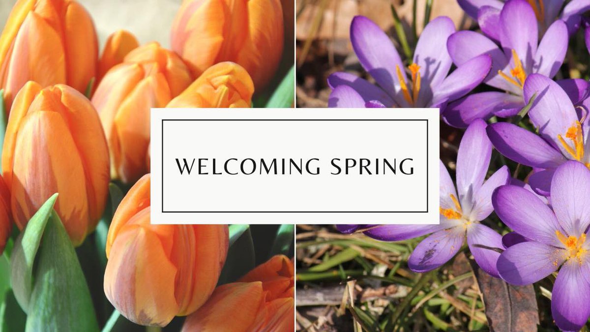 Connecticut Gay & Lesbian Chamber (CTGLC) tweet media