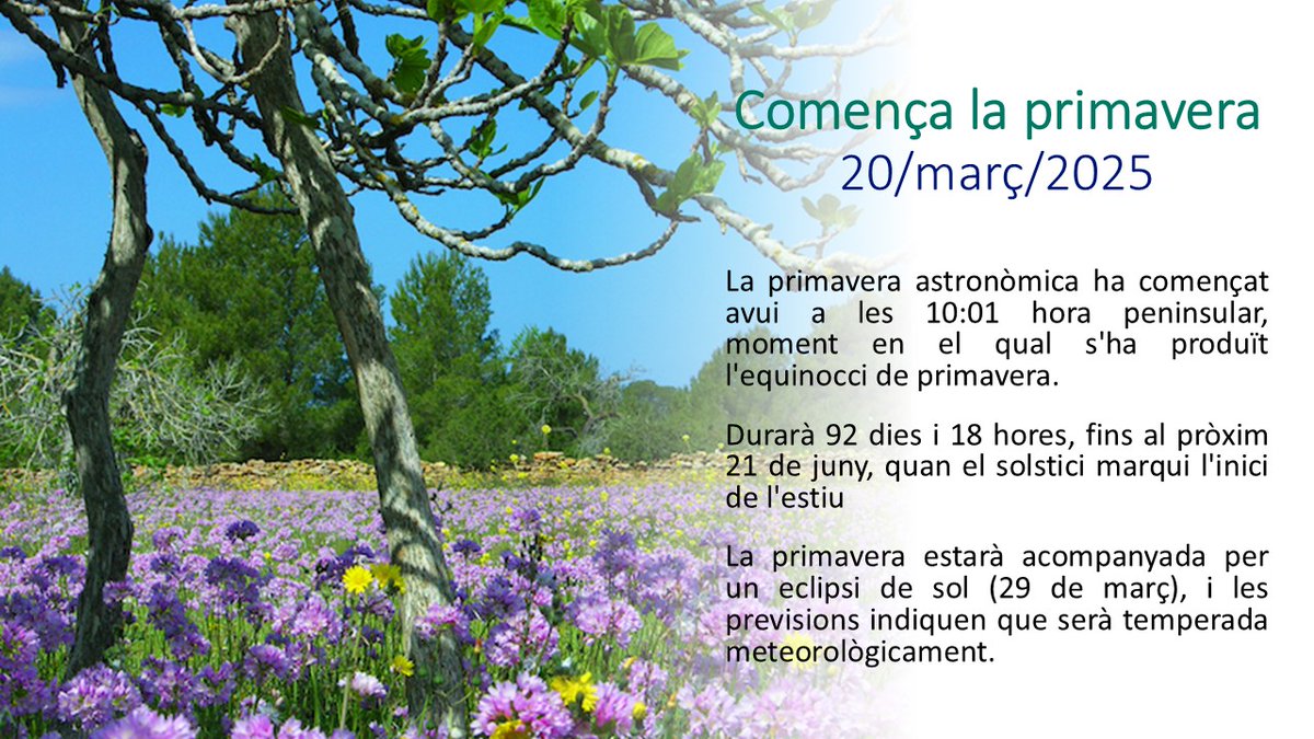 COBIB (@cobbalears) on Twitter photo 