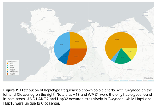 Dr Craig Shuttleworth (@welshsquirrels) on Twitter photo Wow! Genetics of red squirrels on mainland Wales. A brilliant new report led by <a href="/denomeara/">Denise O'Meara</a> and <a href="/rebecca_synnott/">Rebecca Synnott</a> and just published by <a href="/NatResWales/">Cyfoeth Naturiol Cymru | Natural Resources Wales</a> Wow! Genetics of red squirrels on mainland Wales. A brilliant new report led by <a href="/denomeara/">Denise O'Meara</a> and <a href="/rebecca_synnott/">Rebecca Synnott</a> and just published by <a href="/NatResWales/">Cyfoeth Naturiol Cymru | Natural Resources Wales</a>