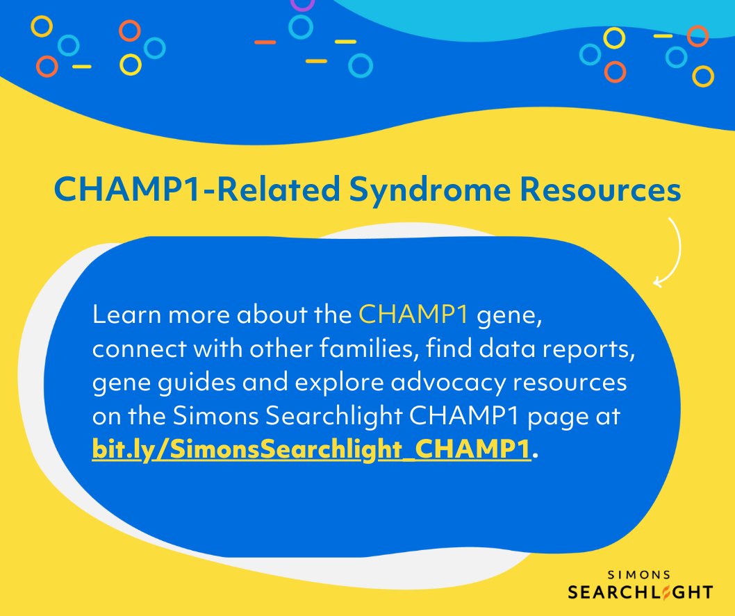 Today we celebrate #CHAMP1AwarenessDay 🎉 with <a href="/CHAMP1Research/">CHAMP1 Research Foundation</a> and <a href="/CHAMP1Gene/">We Raise ℂℍ𝔸𝕄ℙ𝟙ONS 🏴󠁧󠁢󠁳󠁣󠁴󠁿</a>. We have 64 participants with CHAMP1-related syndrome in #SimonsSearchlight.

Find resources 📚, data 📊, and more on the #CHAMP1 website: bit.ly/SimonsSearchli…

#CareForRare #RareDiseaseResearch