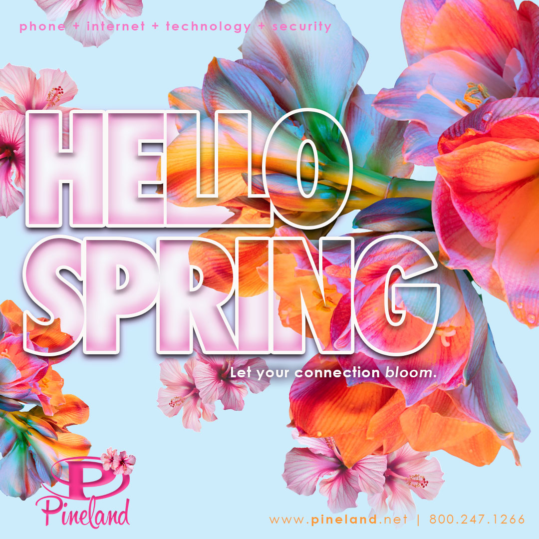 Pineland Telephone tweet media