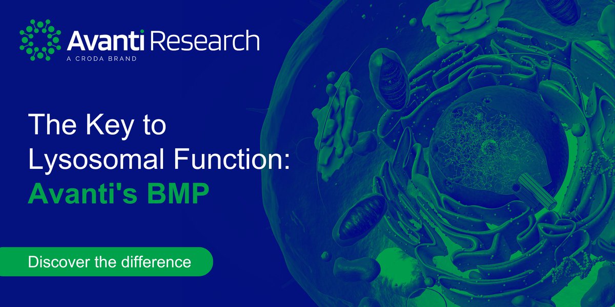 Did you know Bismonoacylglycerophosphate (BMP) is crucial for lysosomal function? Avanti Research provides top-quality BMP products. Trust the partner scientists rely on. 

Discover more: ow.ly/AGsl50V2jPq