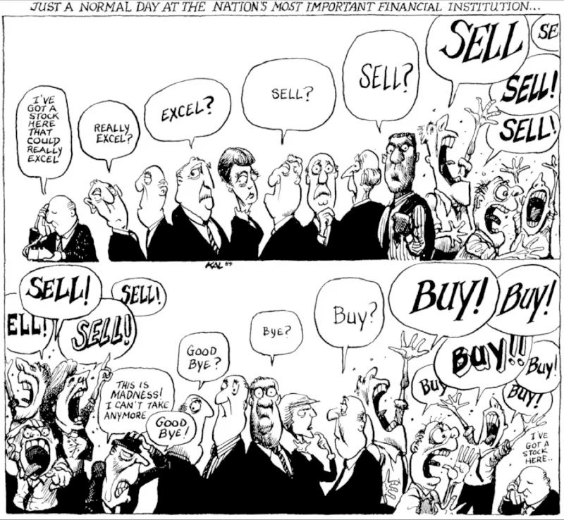 The madness of the stock market: