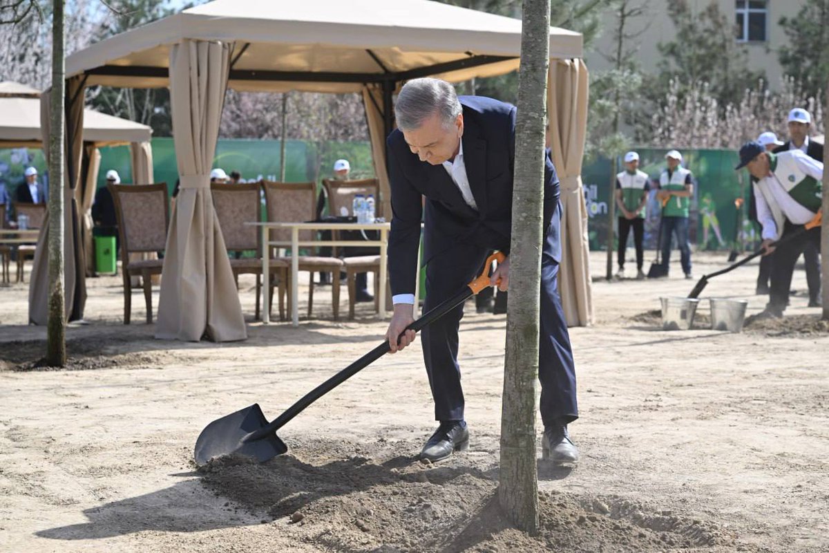 Feruzbe1998's tweet photo. Bektemir tumanida Prezident Shavkat Mirziyoyev davlat tashkilotlari va jamoatchilik vakillari bilan birga yangi boqqa ko‘chat ekdi. Mahalla faollari, nuroniylar va yoshlar bilan samimiy muloqot bo‘ldi.
#Mirziyoyev #tanishuv #Bektemir #daraxt https://t.co/kHQ8KGZ3ce
