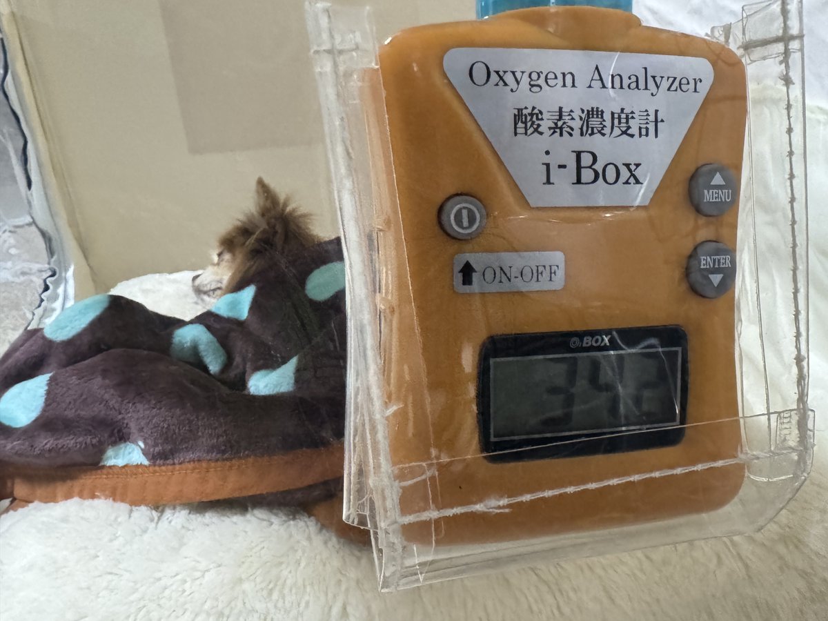 osakajp8's tweet photo. 今日の琥太郎🐶
ハァハァと息苦しそうなので株式会社LAINGSさんに問い合わせをして、自宅に酸素室を設置してもらいました🏠🐶💤
丁寧な作業&説明に感謝です🙏😌
今日もお疲れ様でした🍵
#ペット用酸素室 #酸素濃縮器 #LAINGS https://t.co/1V4rLxwrGO