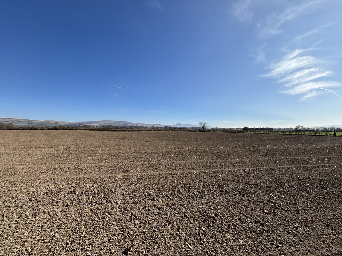 Agronomysilvers's tweet image. Spring Wheat Mulika in the ground and ready for a pre-em @AdamaUK_ @BASFcropUK @AgriiUK #anothergrandday #allsystemsgo