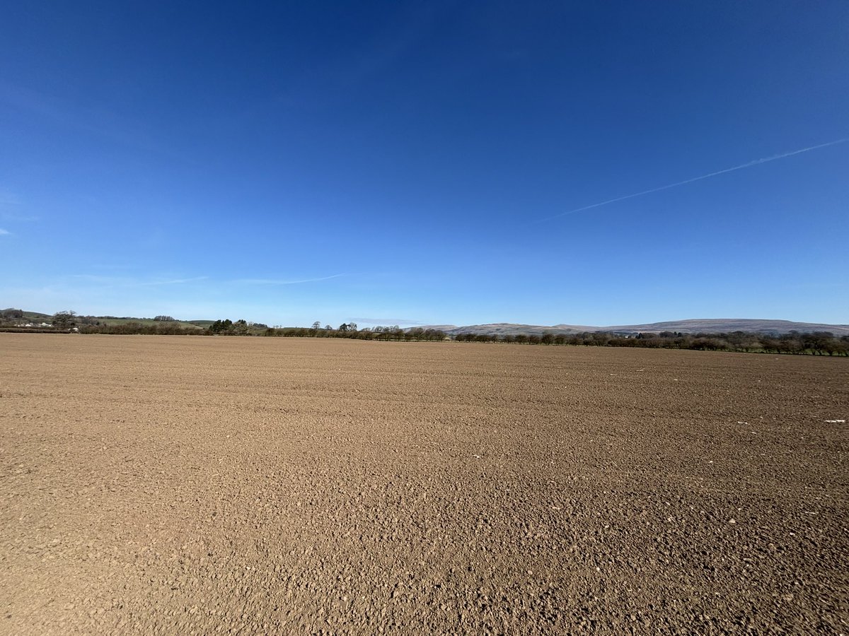 Agronomysilvers's tweet image. Spring Wheat Mulika in the ground and ready for a pre-em @AdamaUK_ @BASFcropUK @AgriiUK #anothergrandday #allsystemsgo