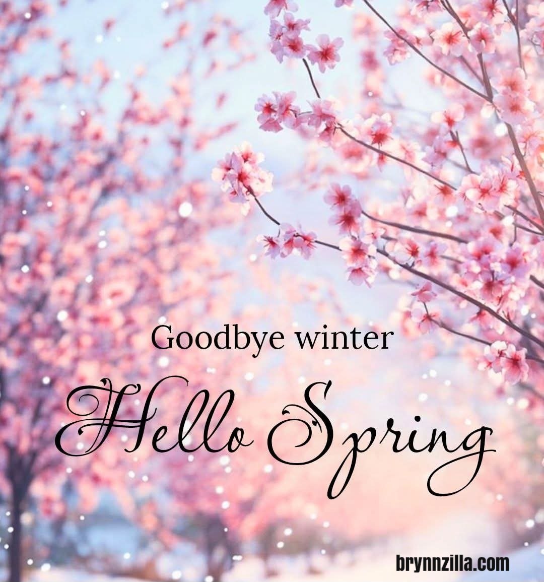 BrynnZilla's tweet photo. Goodbye Winter, Hello Spring! 

#thrift #thrifty #thrifted #thrifter #secondhand #secondhandfirst #thriftshop #thriftstore #onlinethriftstore https://t.co/CIpjnRQUZc