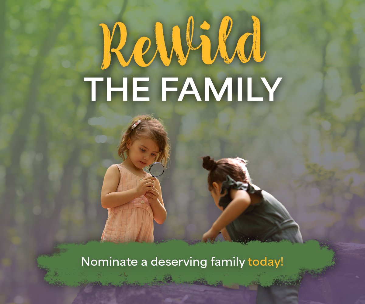 KCETrust's tweet image. KCET’s ReWild the Family program gives families facing financial or social challenges the chance to experience the magic of camping—completely free!

🏕 Free campsite
🎒 Camping gear to keep
🌟 A mentor for guidance

Nominate a family today!
🔗 kettlecreektrust.com/rewild-the-fam…