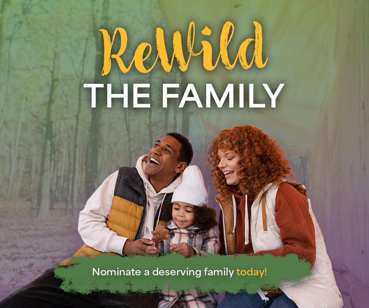 KCETrust's tweet image. Through our ReWild initiative, we make camping accessible to families facing financial or social hardships. Nominate a family today!

Winning families enjoy a weekend of camping, complete with everything needed for an unforgettable adventure.

Learn more: kettlecreektrust.com/rewild-the-fam….