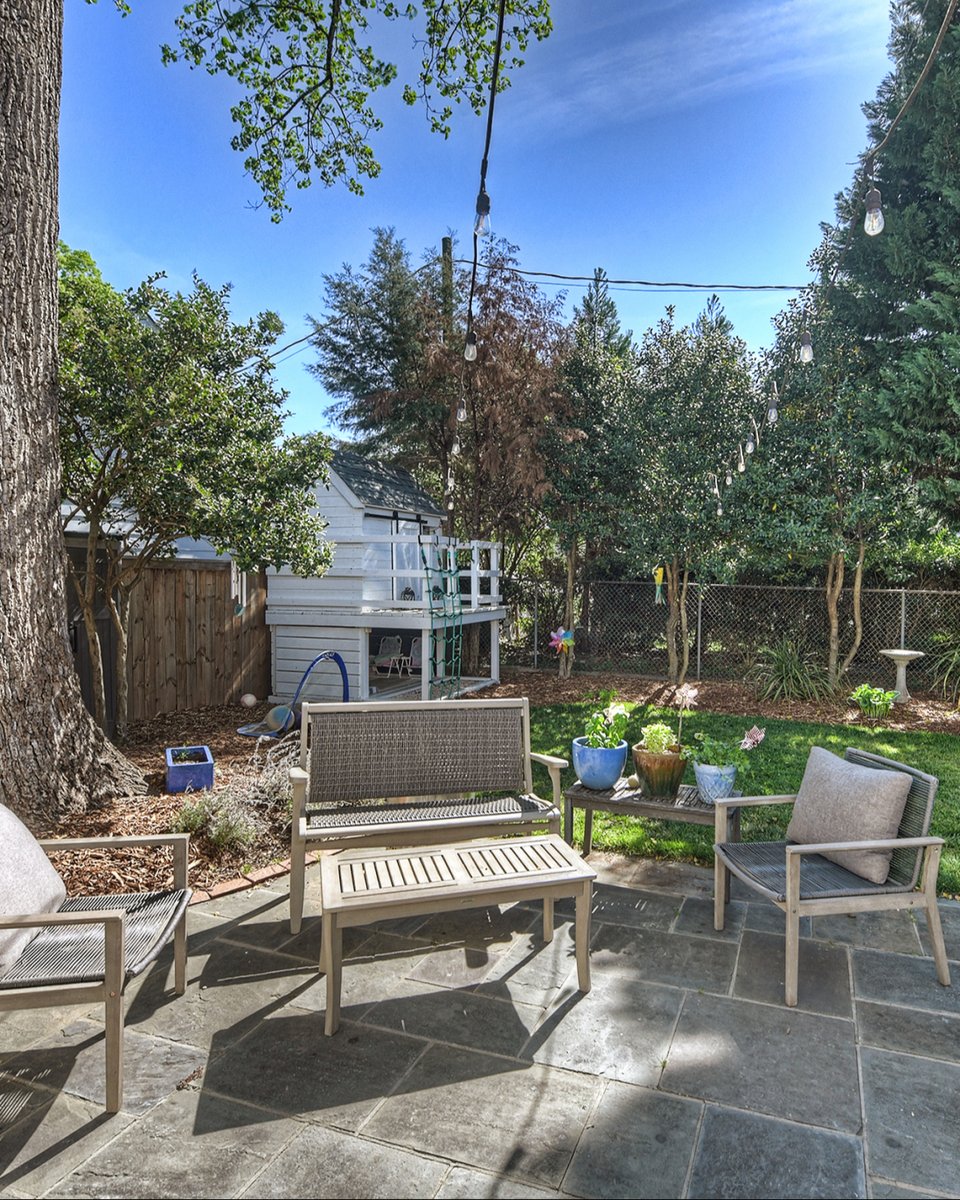 Dickens Mitchener tweet media