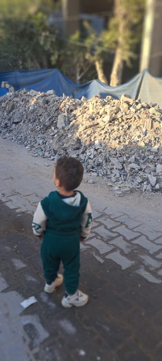 Noha Akram 𓂆𓂆 tweet media