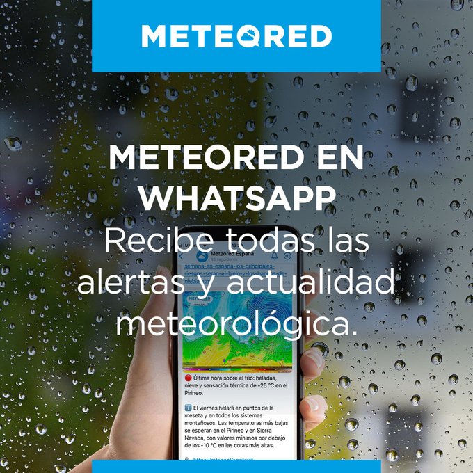 meteoredcl's tweet image. 💬 Recibe la última hora en nuestro canal de Whatsapp ⚡
Ya puedes unirte para recibir los últimos avisos meteorológicos ⚠️ y toda la actualidad sobre el tiempo.
f.mtr.cool/ddasdbdidi