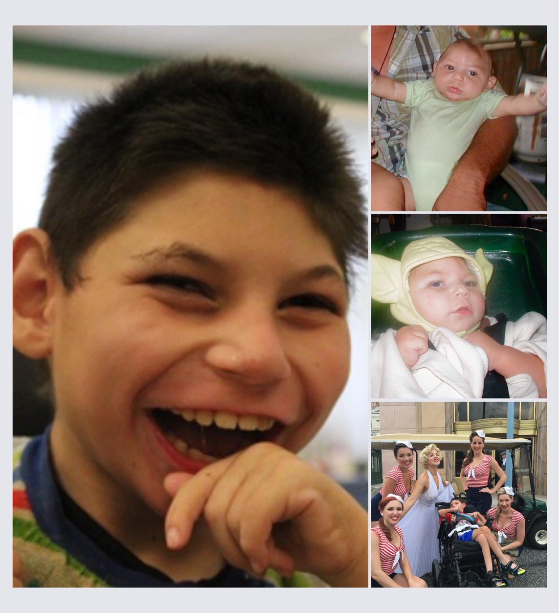 America First Daily tweet media