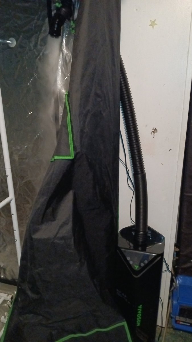 OGxPhatty's tweet photo. New Vivosun humidifier for the dry tent, changed out my air pump to a 4 port beast for the cloner, and checking out the C4 grow Cam in flower. Got it running on a APK emulator. #vivosun #ogxphatty https://t.co/1YLZkC5Jit