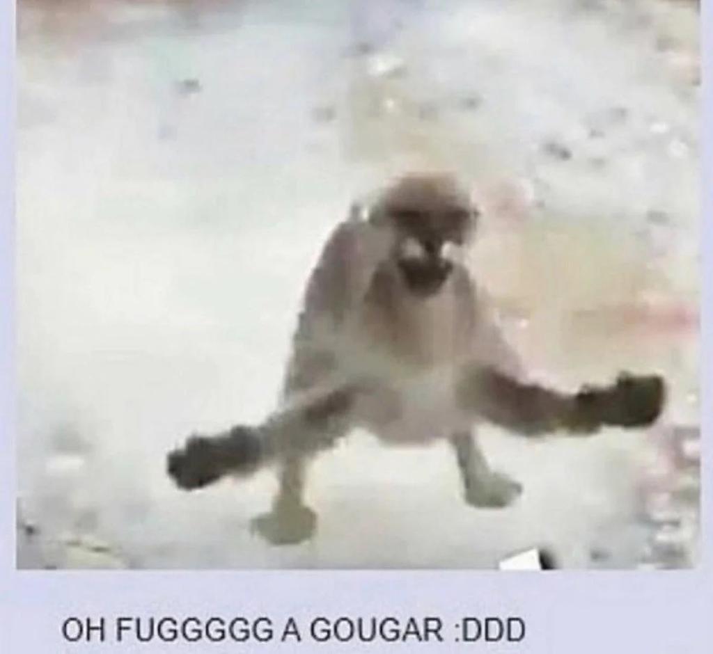 fragger (@beh0ik0) on Twitter photo 