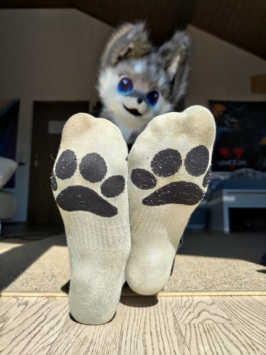pawsfromdisco's tweet photo. They're back! And still quite dirty, of course :3 https://t.co/0mtpjRtSEW