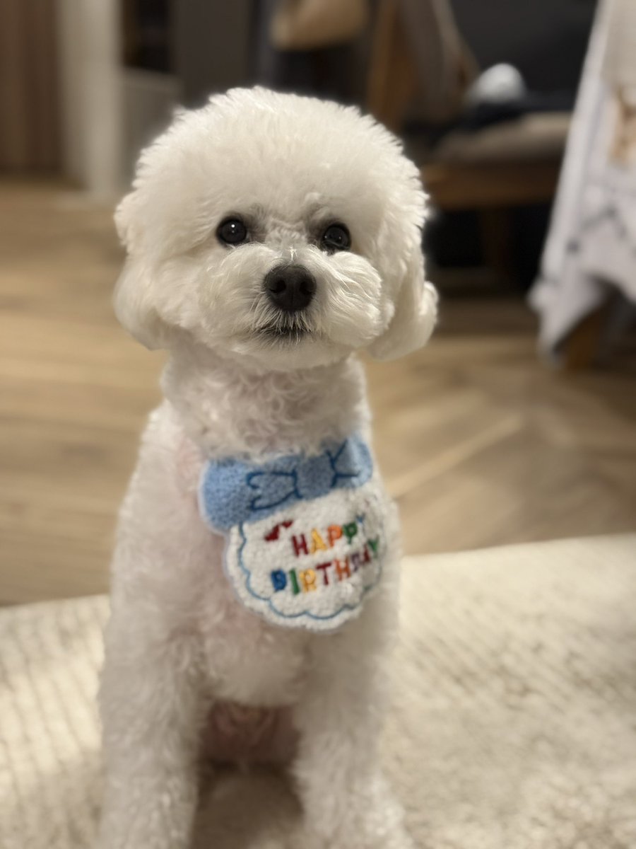 3歳の誕生日を迎えました🎂