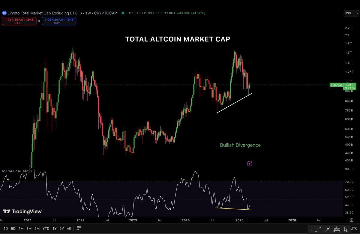 The total altcoin market cap indicates
a bullish hidden divergence on RSI in 
weekly chart.

A reversal from here will start a huge 
Altcoin season.