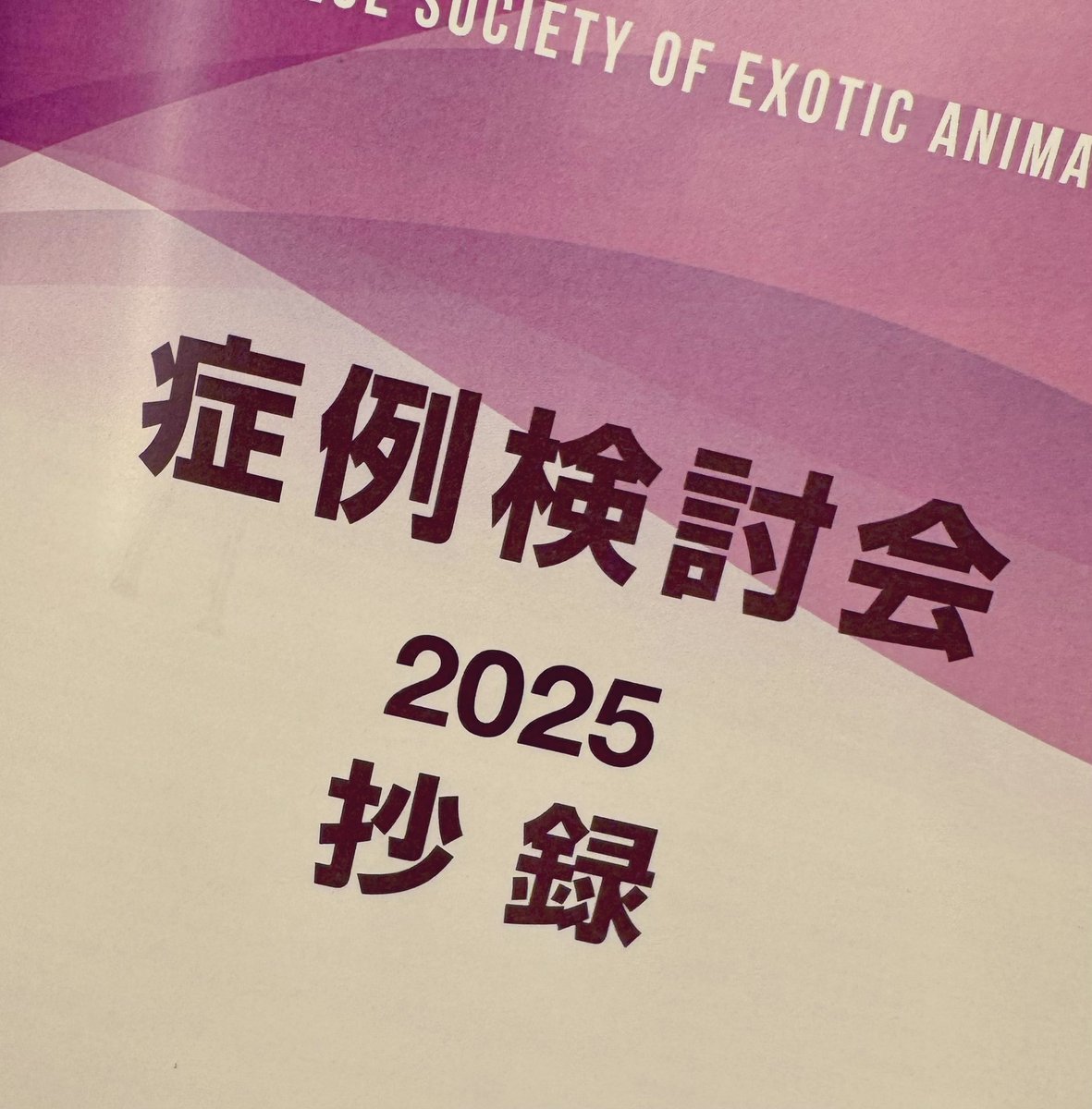 LpbSna's tweet photo. 先輩の発表と色んな発表聞いて
初めての空間でとても新鮮だった

先輩達ともたくさん話せたし
休診日被ってたけど満足！！ https://t.co/mmDY9e7nGI