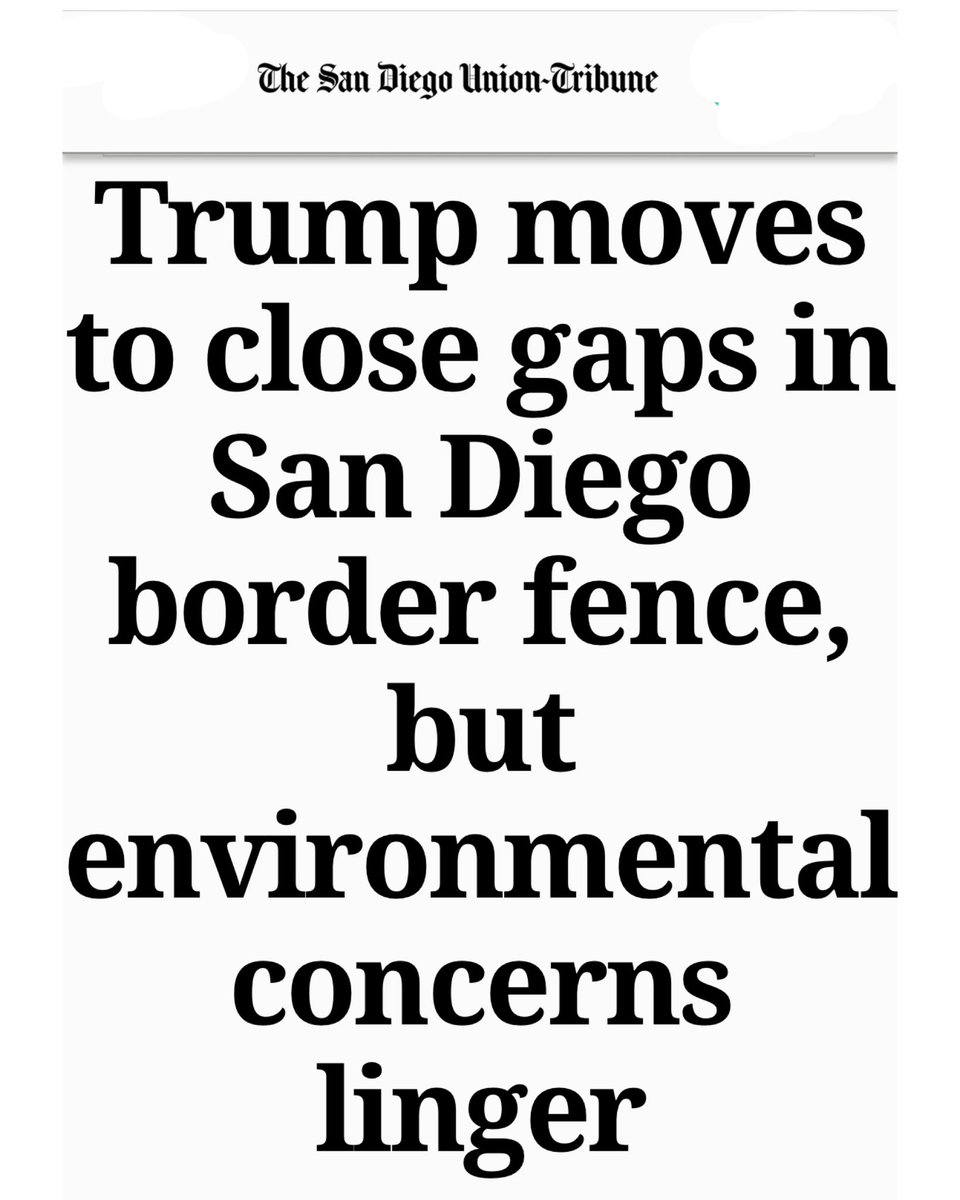 Amy Reichert tweet media