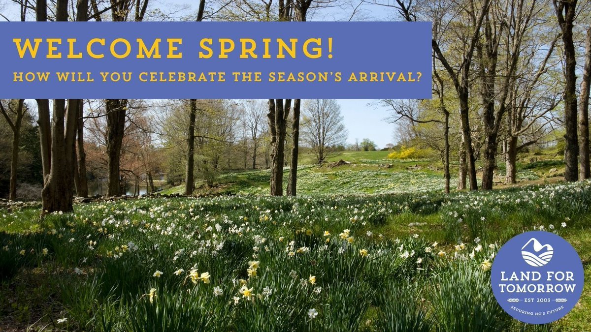 land4tomorrow's tweet image. Spring has arrived! Warmer days, longer evenings, and endless ways to enjoy North Carolina’s great outdoors.

How will you celebrate? A hike, a beach trip, or just soaking in the sunshine? Let us know! ⬇️

#FirstDayOfSpring #ExploreNC