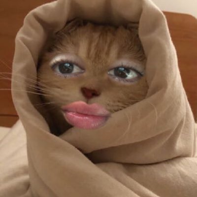 #NuevaFotoDePerfil