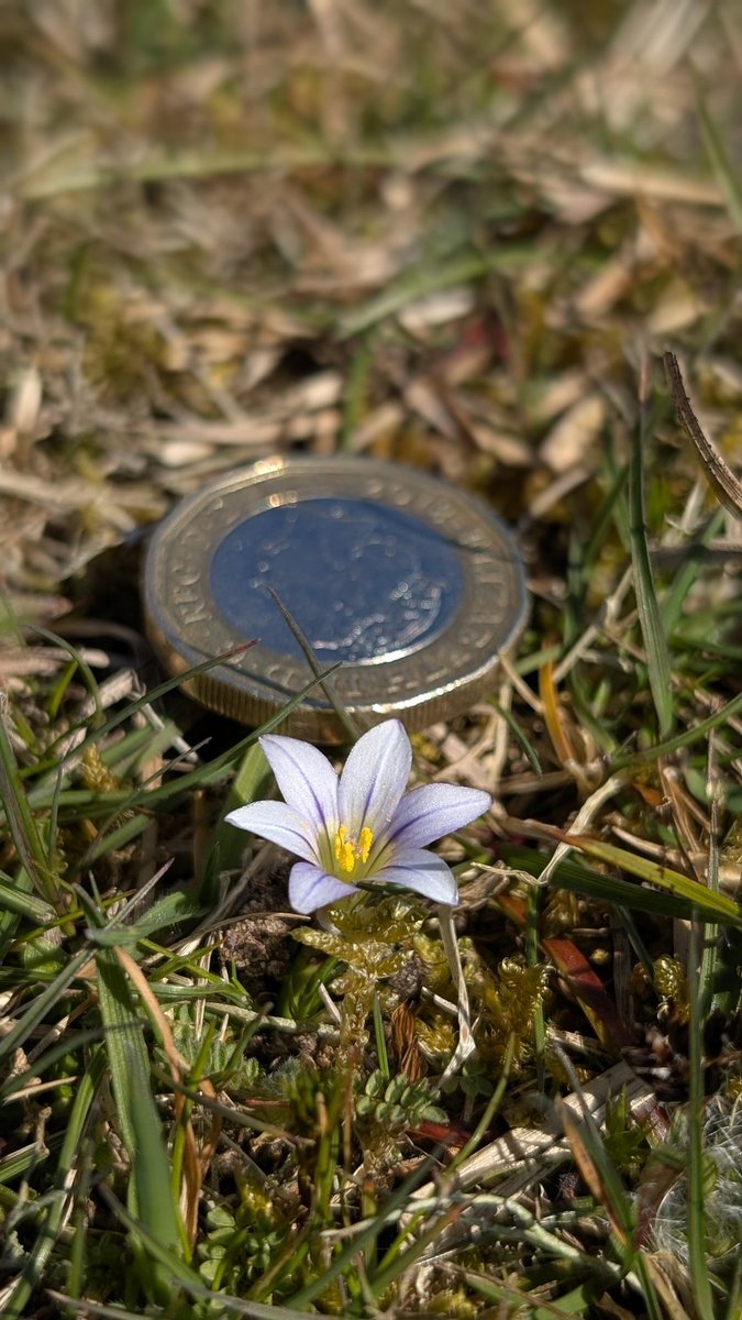 Andy Rogers tweet media