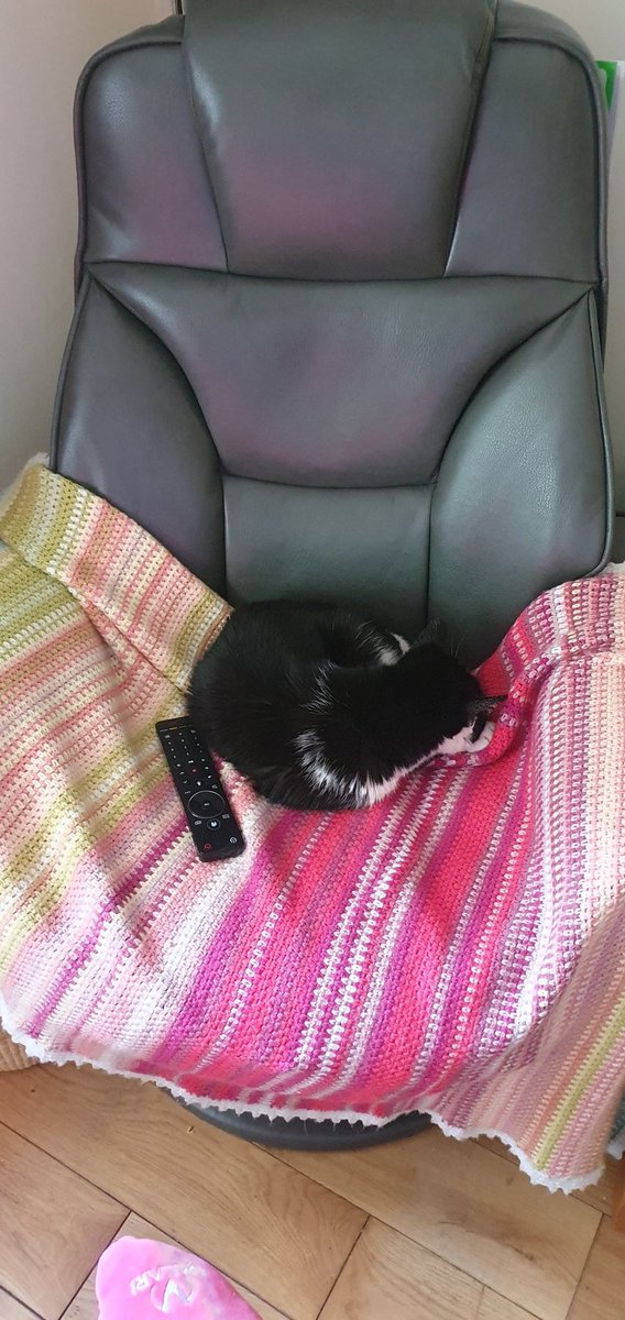 _ValODonovan's tweet photo. Hmmm.... buy yourself a new comfy craft/TV chair and just watch a certain Pretty Cat claim it as her own! ๐คทโโ๏ธ๐ป
#prettycat #cheekycat #comfycat https://t.co/mqAkl0hP8a
