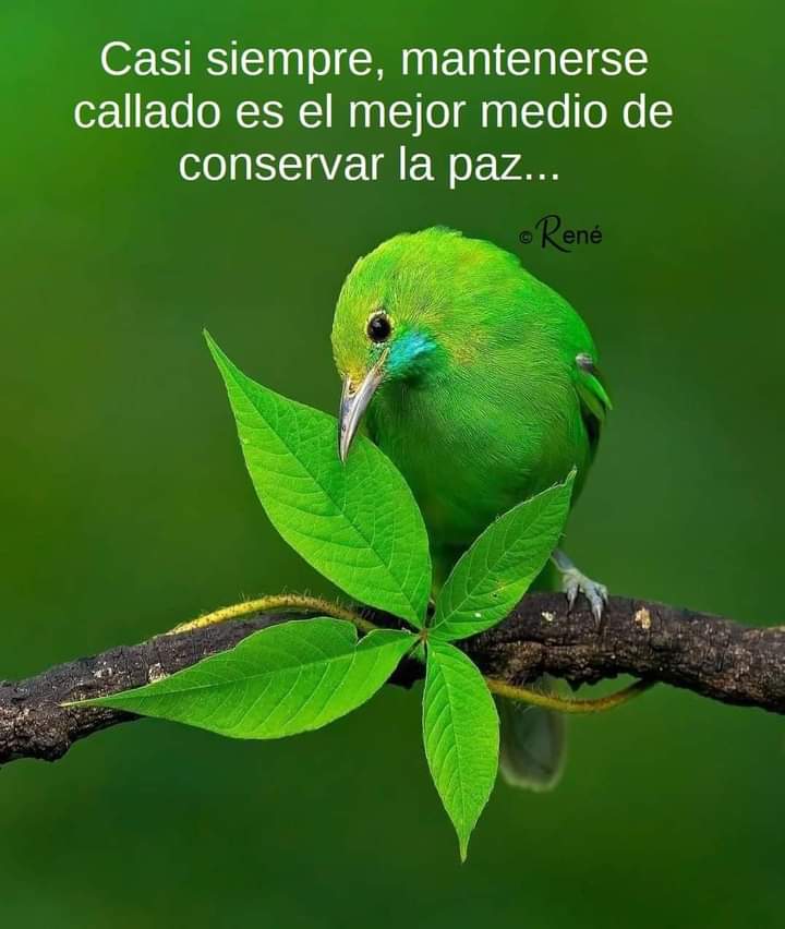 VidaEquilibrad4's tweet photo. https://t.co/d320B4luXM