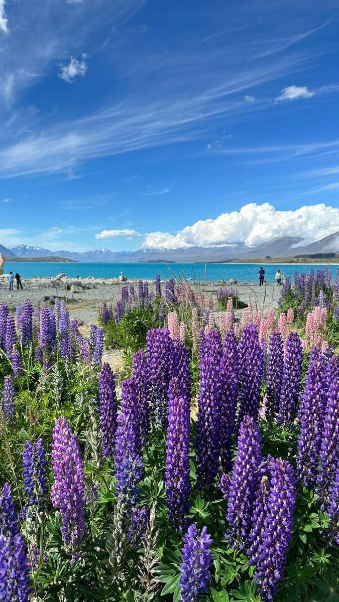 I never consider ease and joyfulness the purpose of life itself.