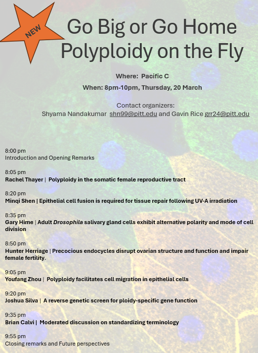 Shyama Nandakumar (@shyama13) on Twitter photo #Dros25 workshop alert!
Today at 8pm, Pacific Ballroom C - Go Big or Go Home : Polyploidy on the Fly.
Excited to host this with <a href="/gavinrrice/">Gavin Rice</a>.bsky.social!
We have an exciting line up of speakers and will hopefully have an engaging conversation on standardizing nomenclature! #Dros25 workshop alert!
Today at 8pm, Pacific Ballroom C - Go Big or Go Home : Polyploidy on the Fly.
Excited to host this with <a href="/gavinrrice/">Gavin Rice</a>.bsky.social!
We have an exciting line up of speakers and will hopefully have an engaging conversation on standardizing nomenclature!
