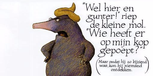 Christiane Verbeeren tweet media