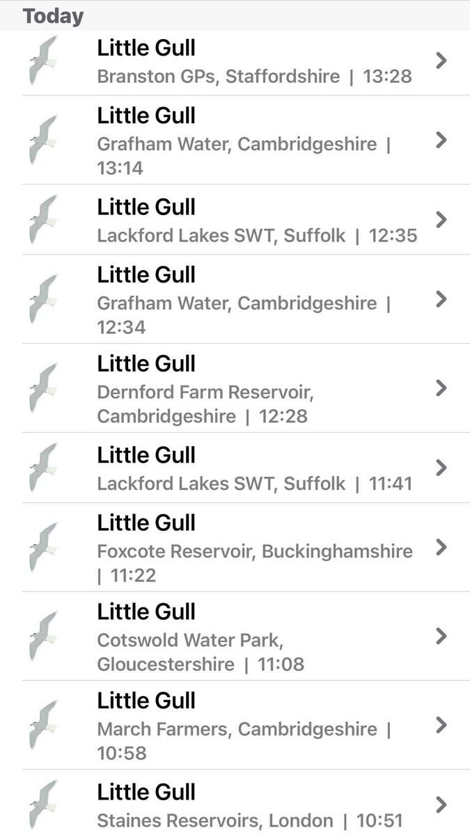 D Stanley tweet media