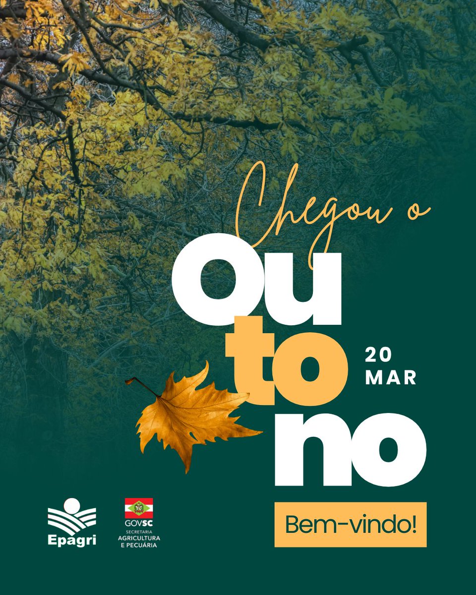 🍂 Você acordou e já é outono!

⏰A estação começou hoje, às 6h02, aqui no Hemisfério Sul.

🤨Quer saber por que ele tem hora marcada? Clica no link da bio!

#outono #iniciodooutono #previsãodotempo #tempoSC #clima #agriculturasustentável #agro #agricultura #agriculturasc