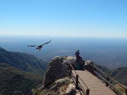 Fede Sturzenegger tweet media