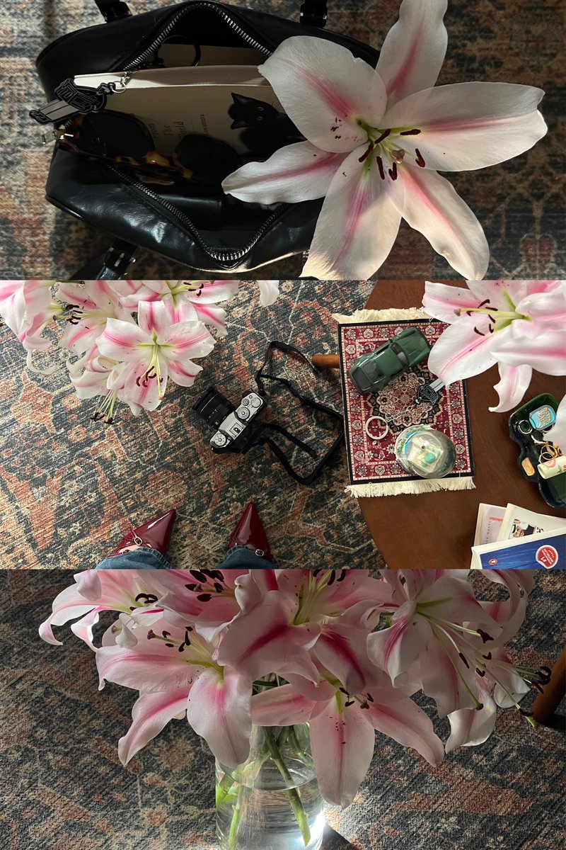 polemonios's tweet image. 