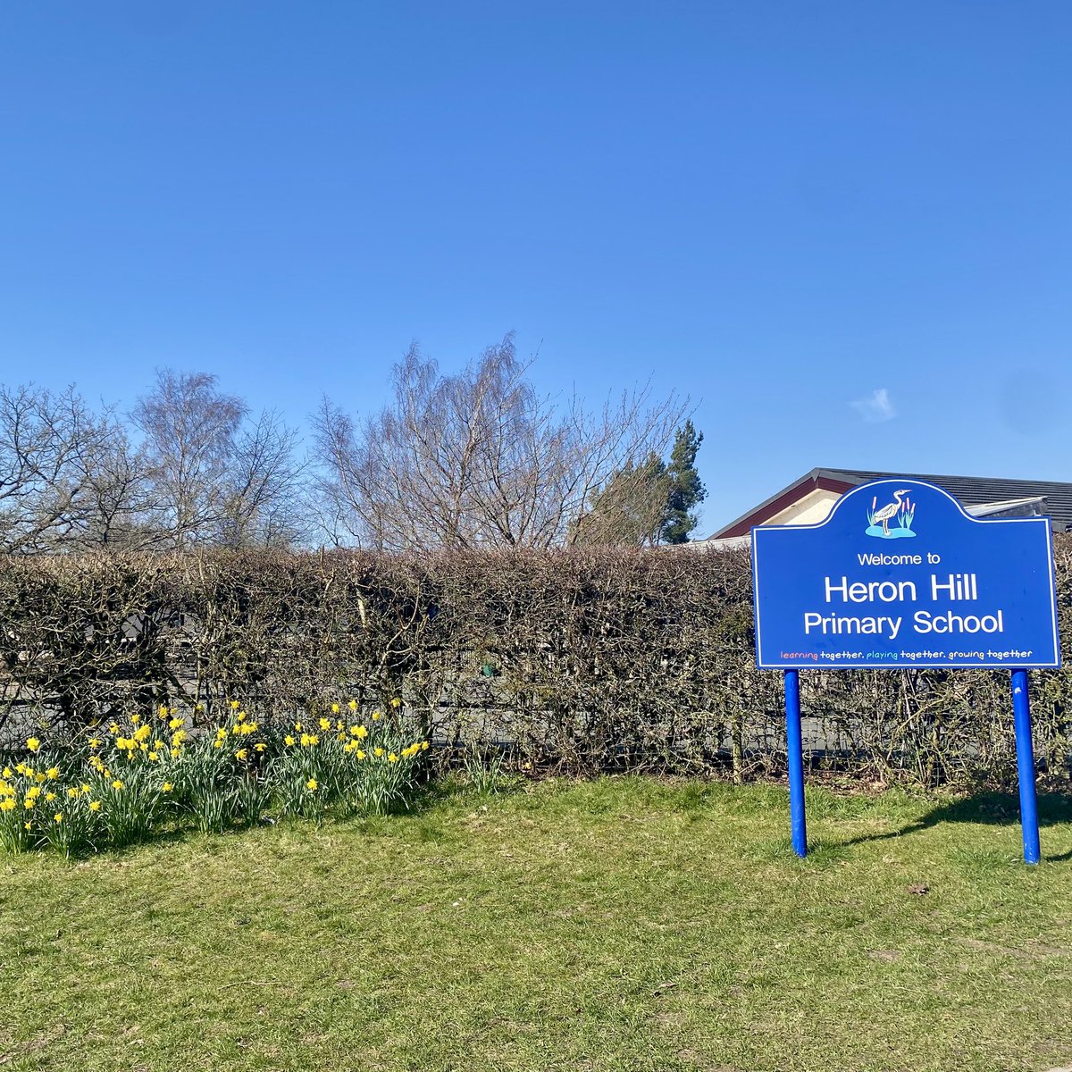 Laura Sherlock Wellbeing tweet media