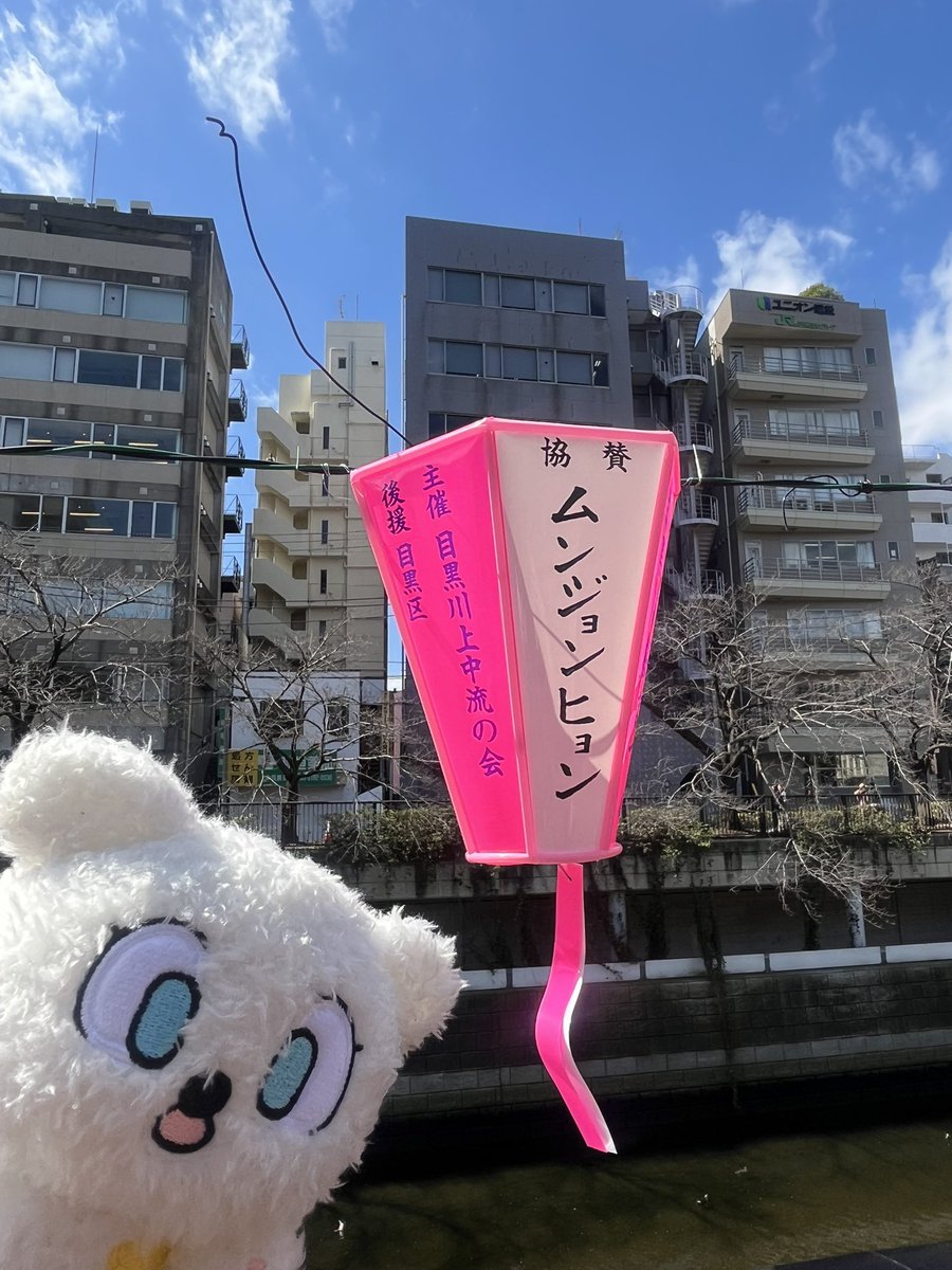 two09110331's tweet photo. 📢中目黒の桜まつりにて！

争奪戦を制してEVNNEのぼんぼりを
@deko_mun11 と出しました🌸🌸🌸

見に行かれる方はぜひぜひ探してみてください！

#EVNNE #中目黒ぼんぼり  #문정현 #ムンジョンヒョン #이정현 #イジョンヒョン 

(3/20 makestarのヨントンにて報告した時のムン様) https://t.co/Jz4QbArWfH