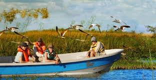 Fede Sturzenegger tweet media