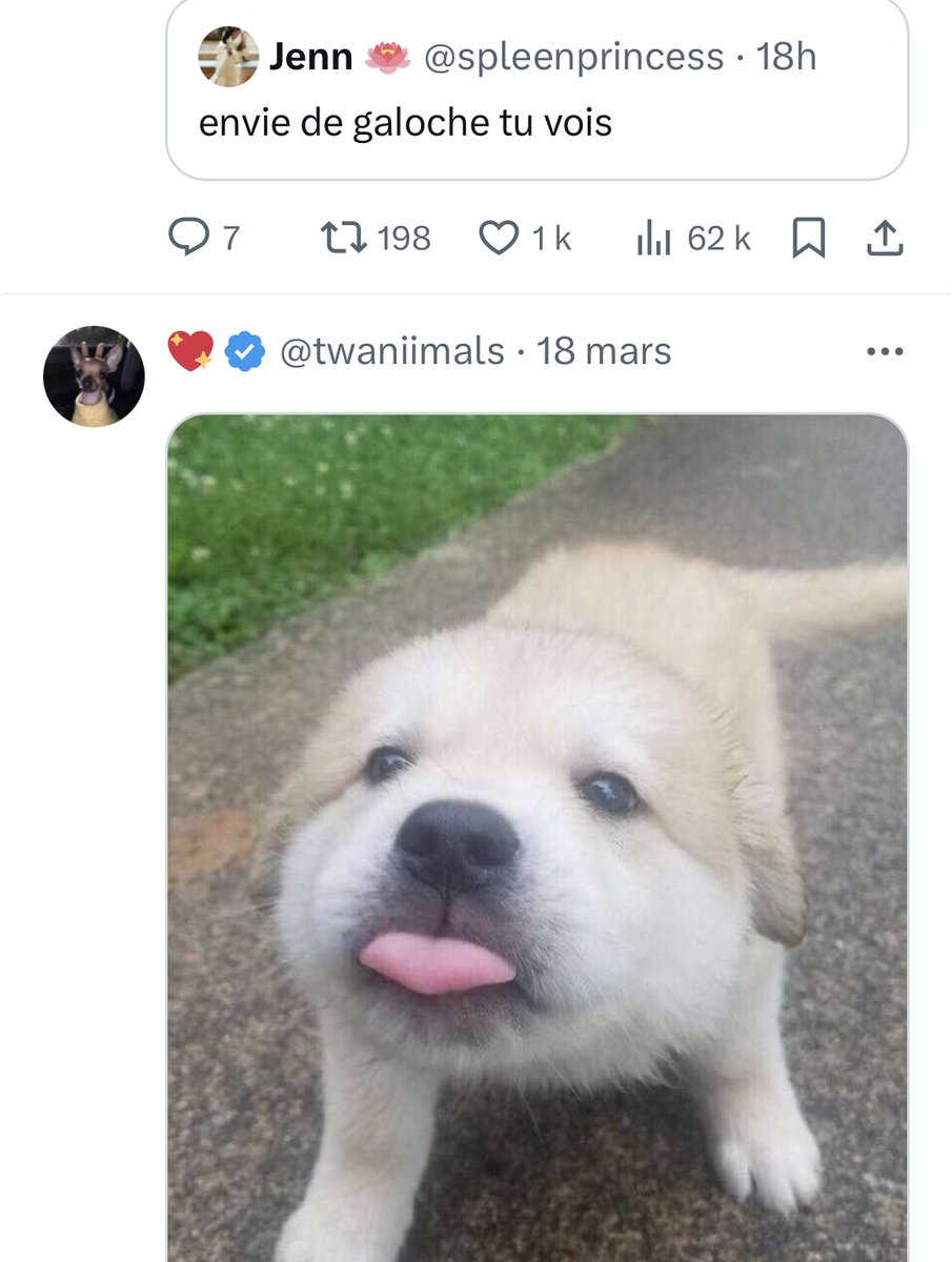 Meilleur enchaînement ever