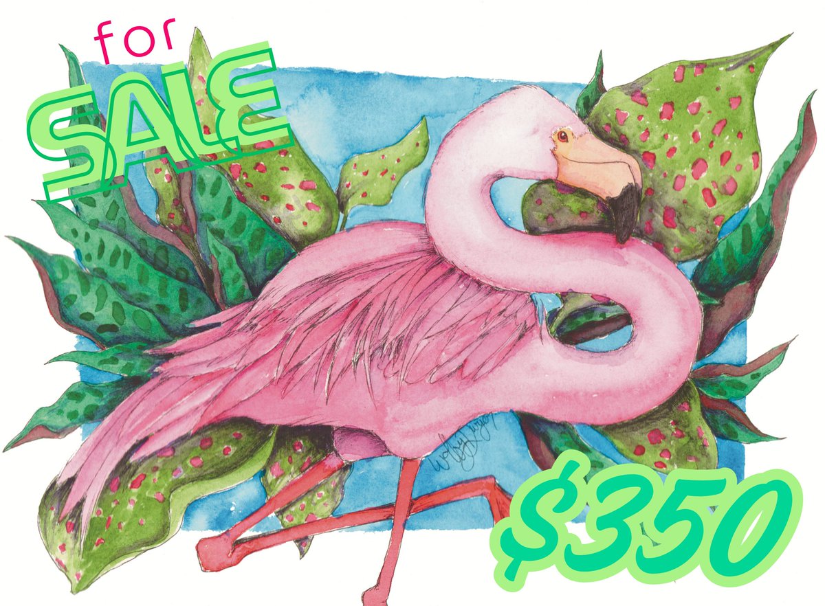 WolfyWorks's tweet photo. This pretty lady is available!
She's a 9*12 inch original watercolor painting done in @winsorandnewton paints and on cold press @strathmoreart water color paper
🛩🚢🚚 available

#art #watercolorart #illustration #drawing #flamingo #watercolor #painting #originalart https://t.co/QsIAdm34ph