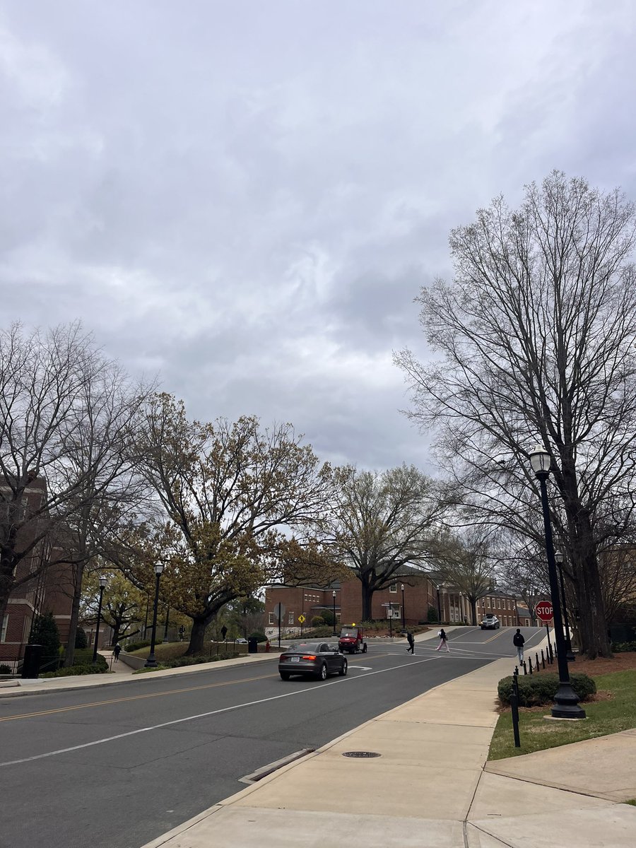 still rocking hazers