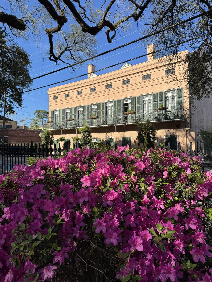 hugh_stiel's tweet image. Royal Frenchmen Hotel Bar in #NewOrleans is perfect for small to medium events with up to 250 guest. 
Reasons to book our property at 504-619-9660 or visit RoyalFrenchmenHotel.com   
#Weddings 
#Receptions 
#DinnerParies
#BatchelorParty’s 
#Honeymoons 
#Birthdays 
#Reunions…